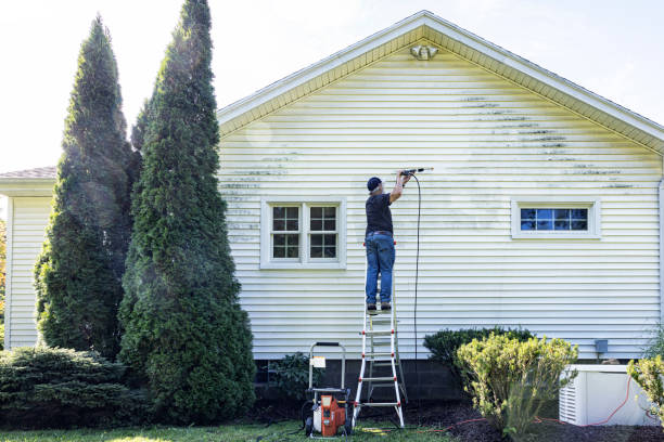 Best Sidewalk and Walkway Pressure Cleaning in Shelby, OH